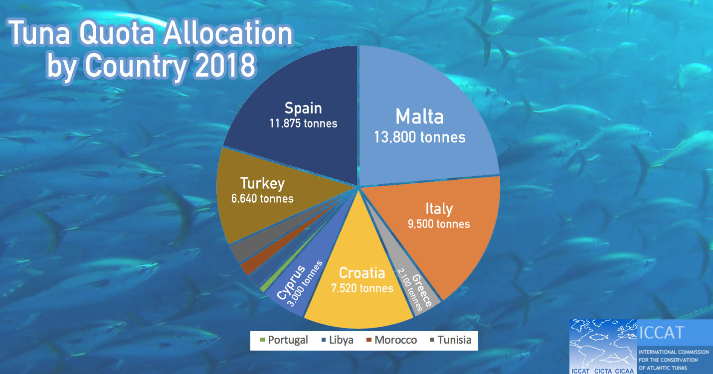 tuna quotas ICCAT