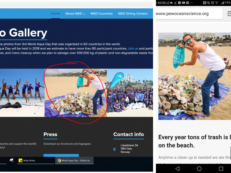 fake White Flag pics